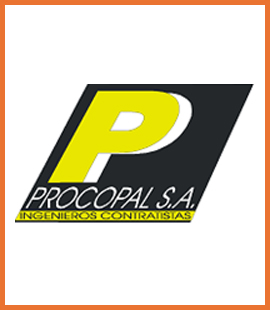 team member image